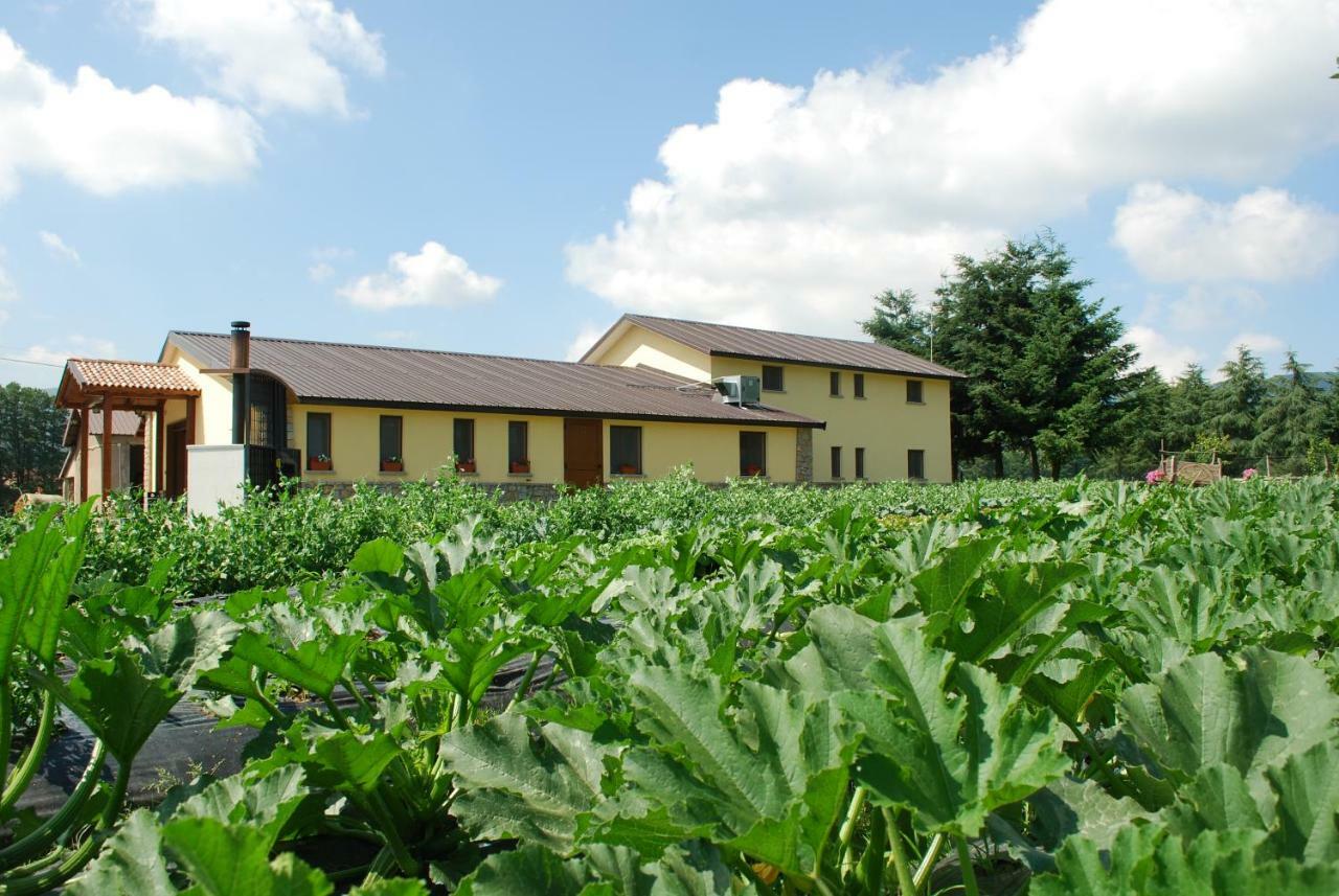 Agriturismo Fiorella Camigliatello Silano Exterior photo