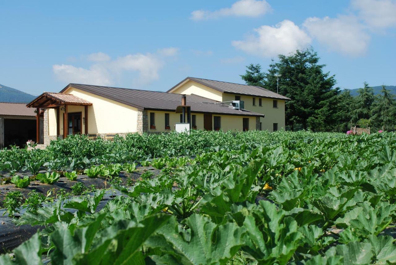 Agriturismo Fiorella Camigliatello Silano Exterior photo